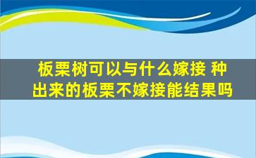 板栗树可以与什么嫁接 种出来的板栗不嫁接能结果吗